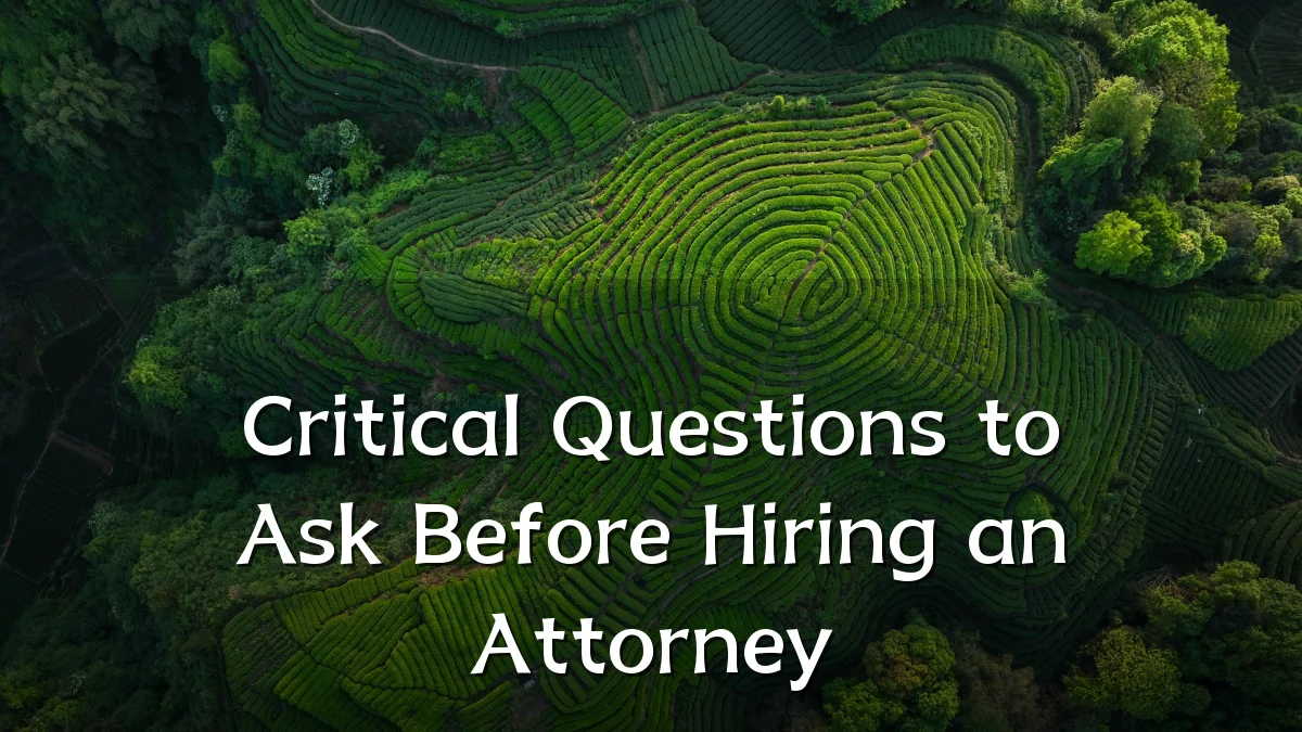 Critical Questions to Ask Before Hiring an Attorney