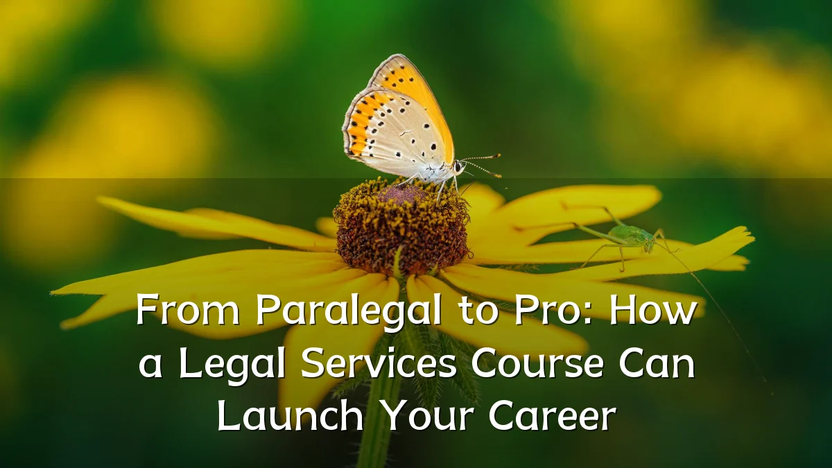 From Paralegal to Pro: How a Legal Services Course Can Launch Your Career