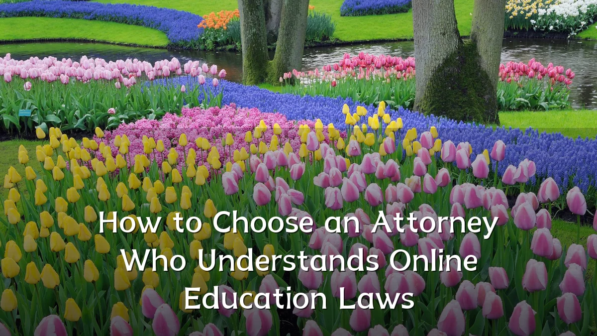 How to Choose an Attorney Who Understands Online Education Laws
