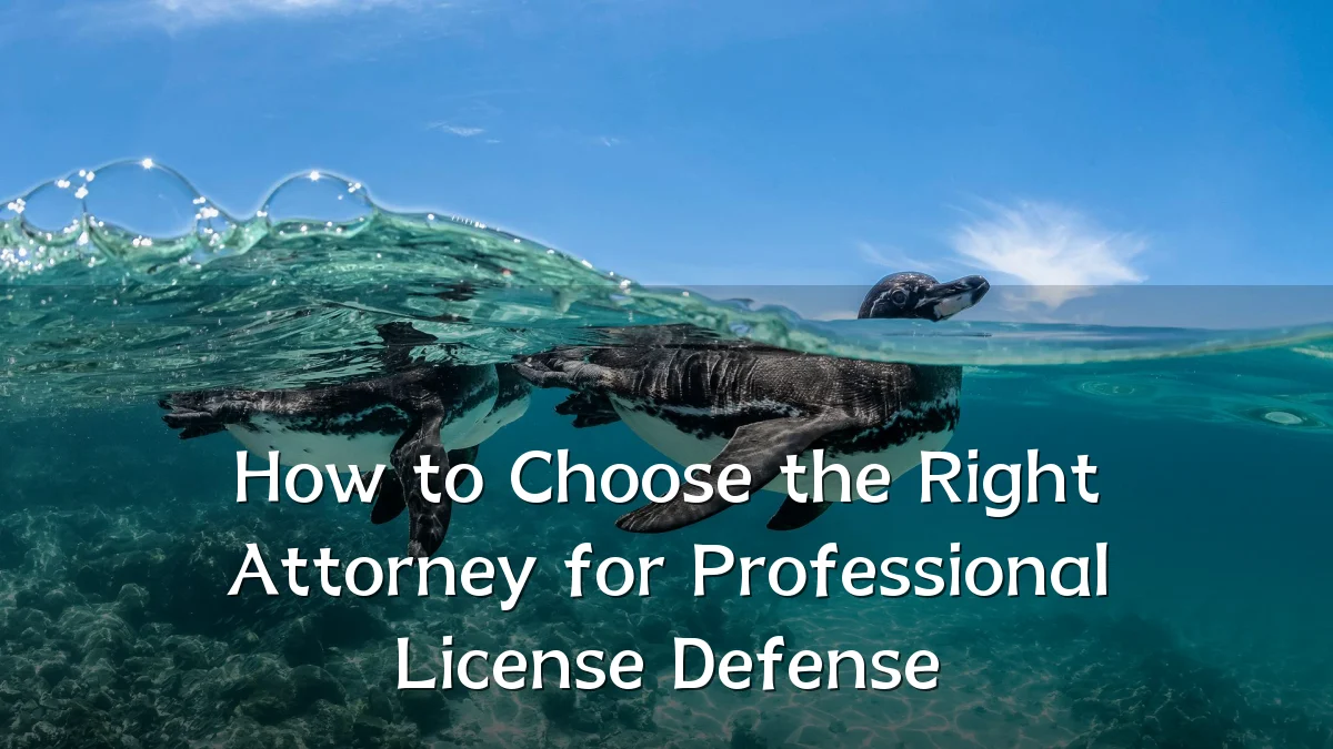 How to Choose the Right Attorney for Professional License Defense