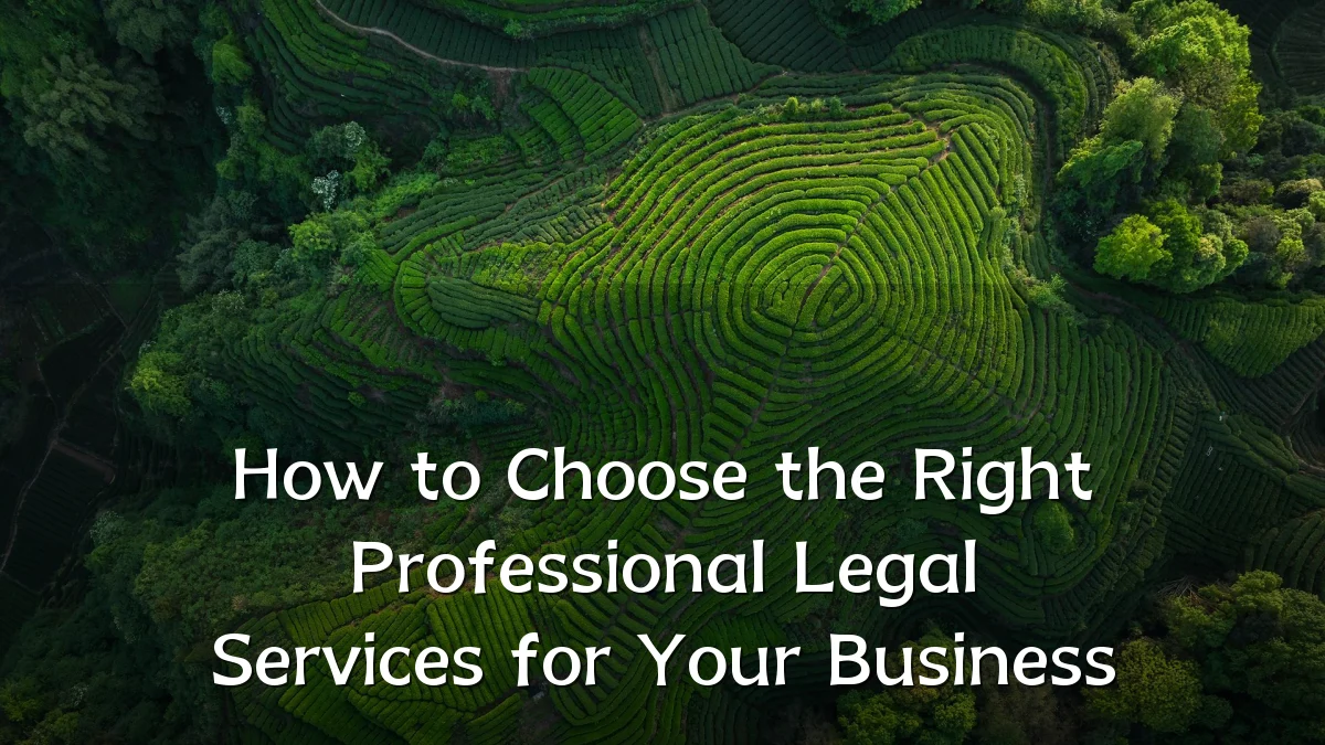 How to Choose the Right Professional Legal Services for Your Business