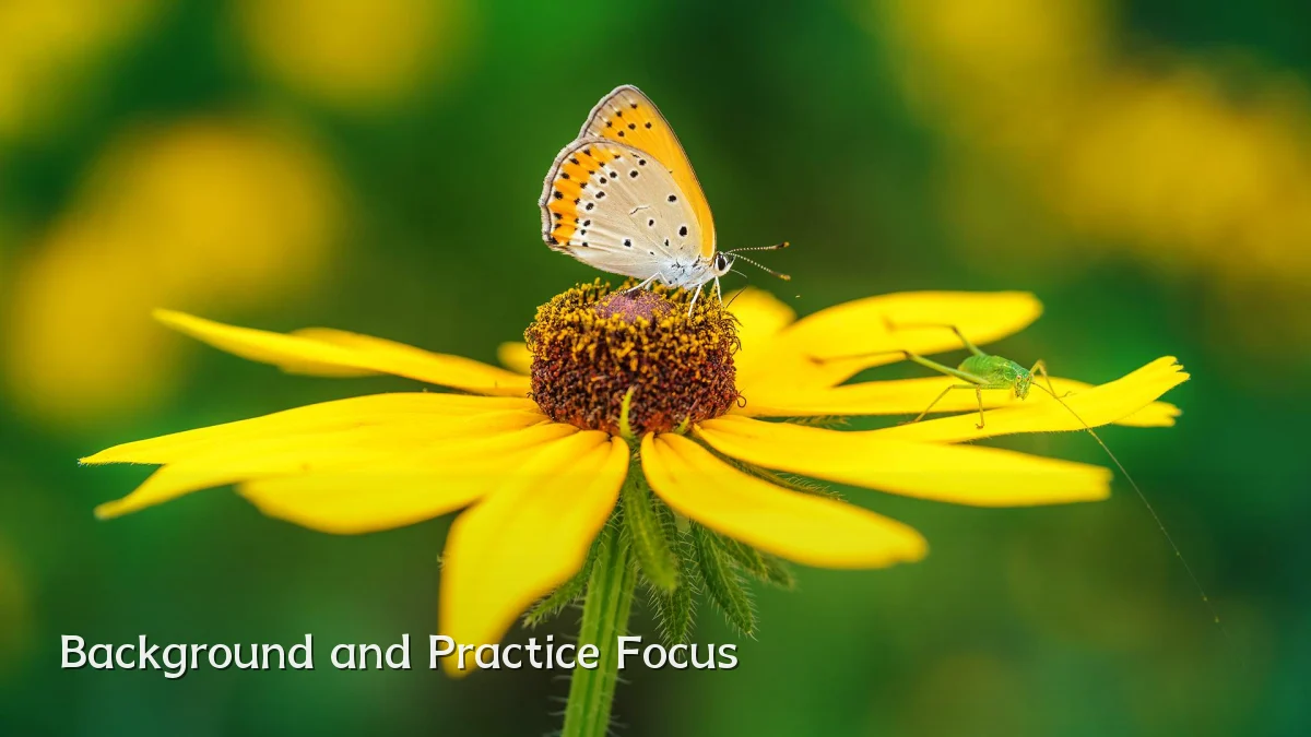Background and Practice Focus