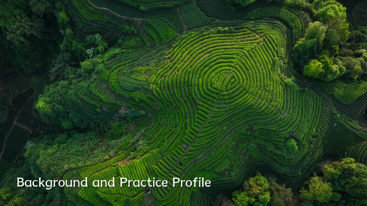 Background and Practice Profile
