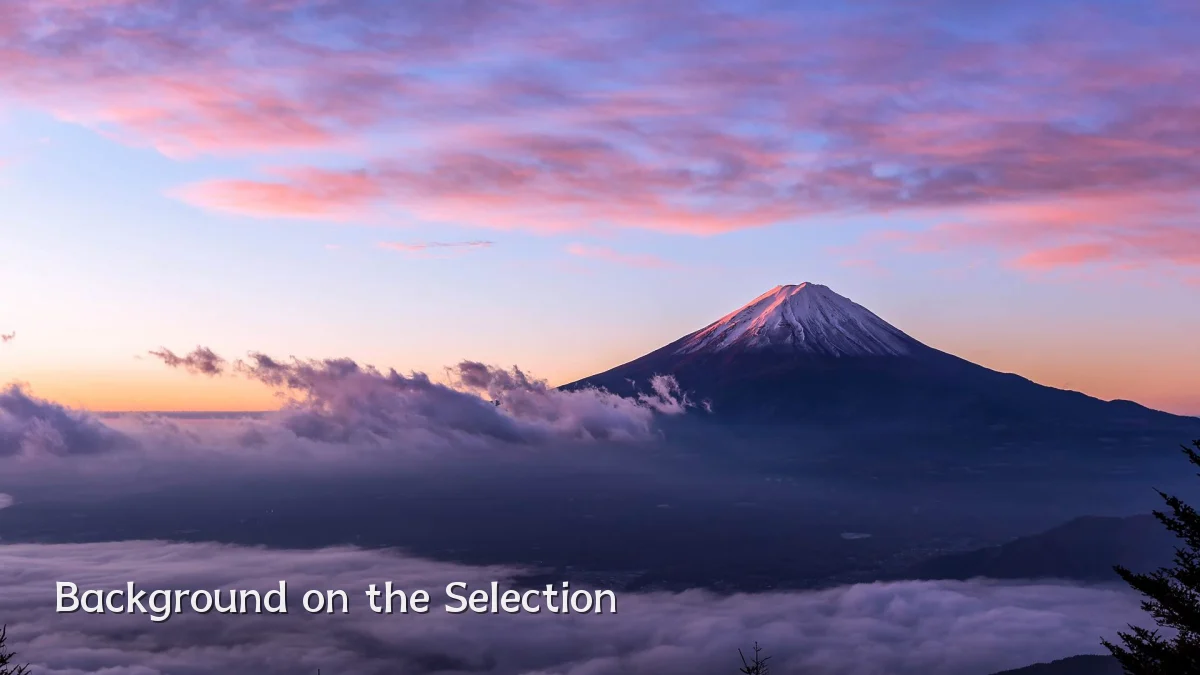 Background on the Selection