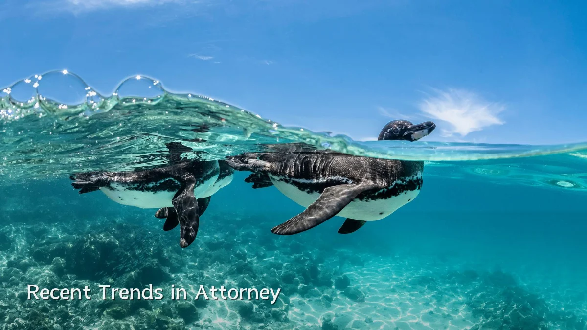 Recent Trends in Attorney