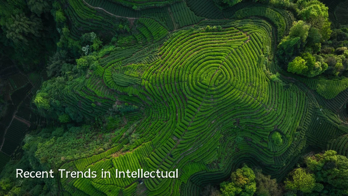Recent Trends in Intellectual