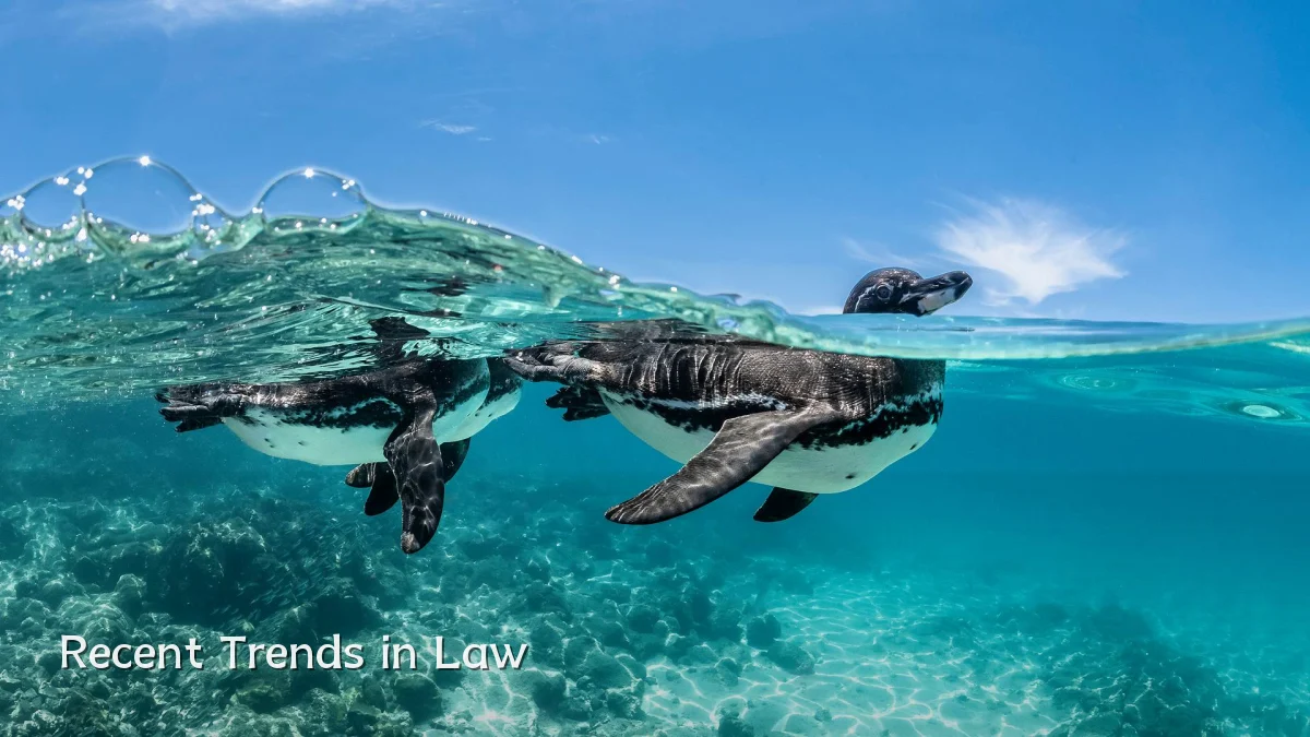 Recent Trends in Law