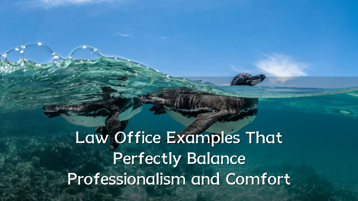 Law Office Examples That Perfectly Balance Professionalism and Comfort