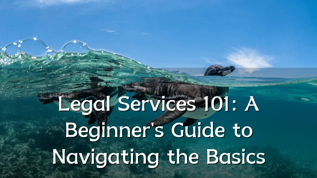 Legal Services 101: A Beginner's Guide to Navigating the Basics