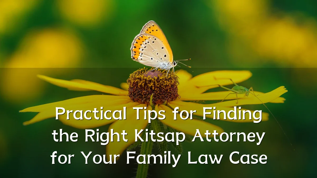 Practical Tips for Finding the Right Kitsap Attorney for Your Family Law Case