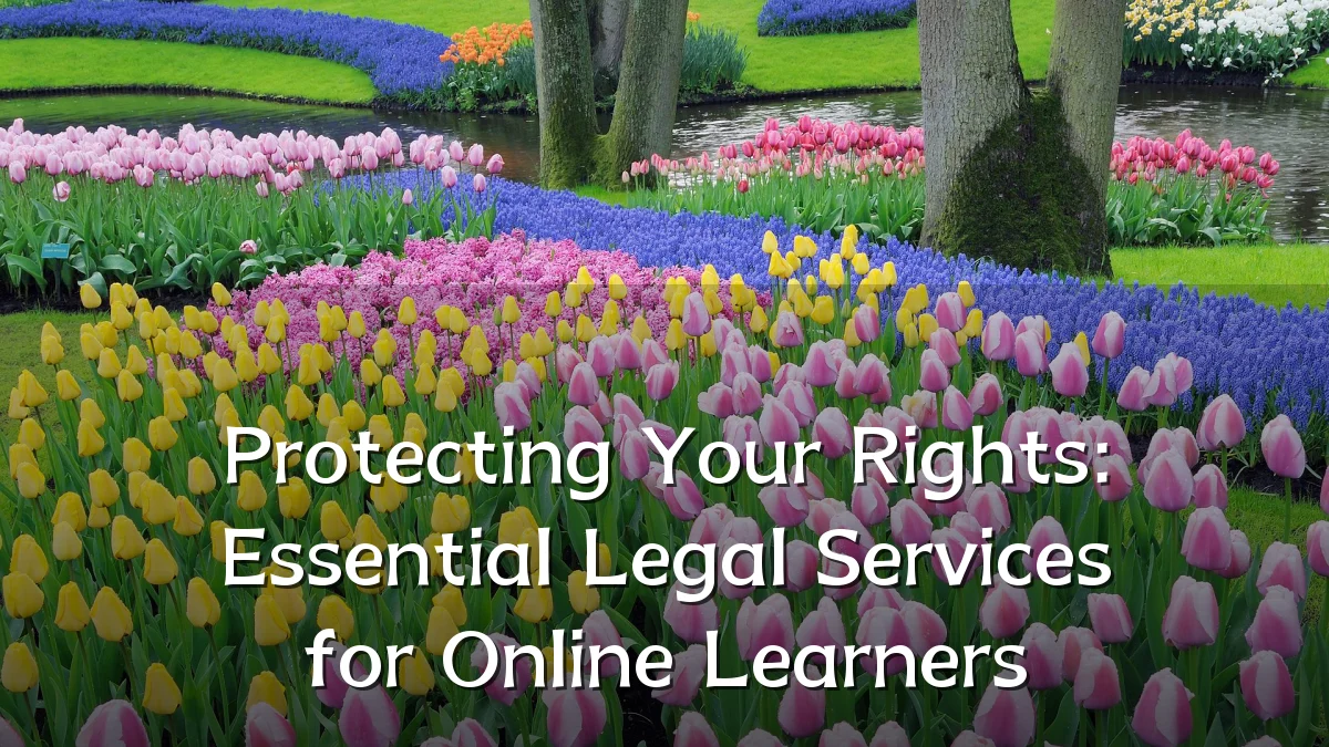 Protecting Your Rights: Essential Legal Services for Online Learners