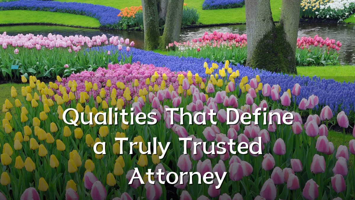 Qualities That Define a Truly Trusted Attorney
