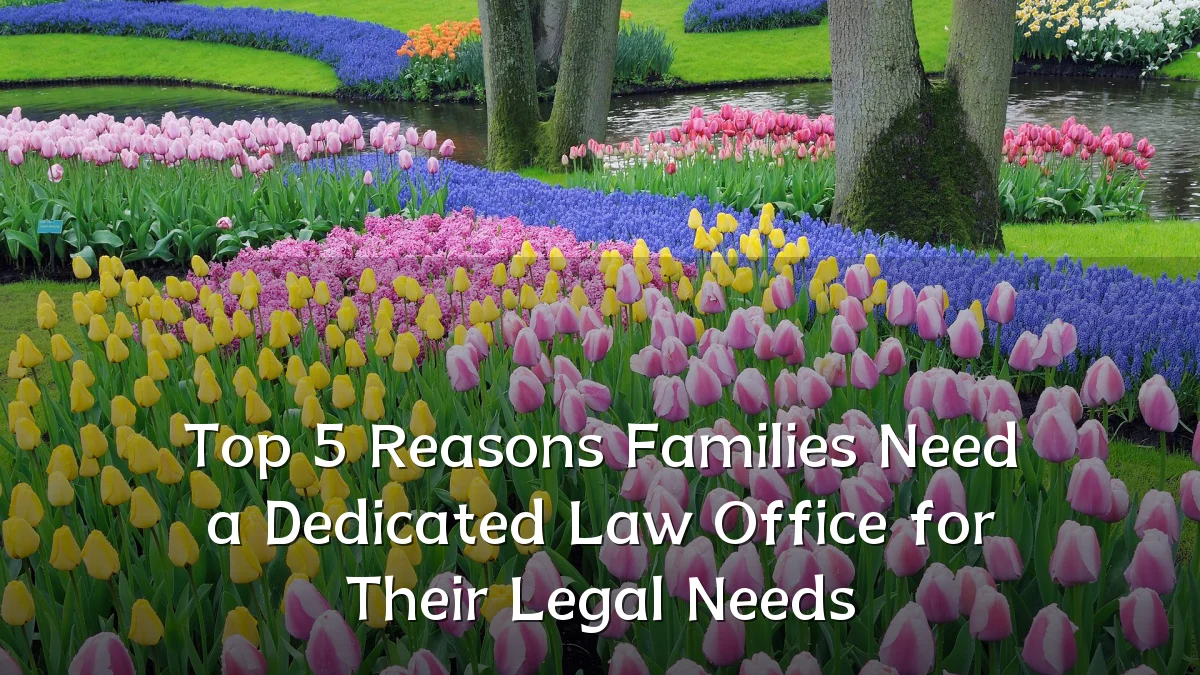 Top 5 Reasons Families Need a Dedicated Law Office for Their Legal Needs
