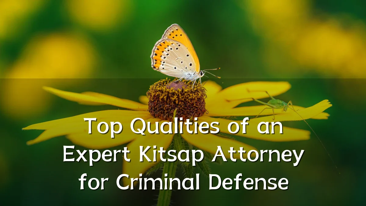 Top Qualities of an Expert Kitsap Attorney for Criminal Defense
