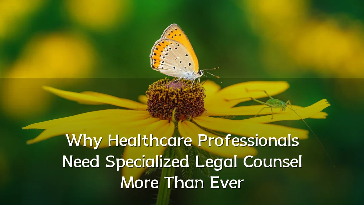 Why Healthcare Professionals Need Specialized Legal Counsel More Than Ever