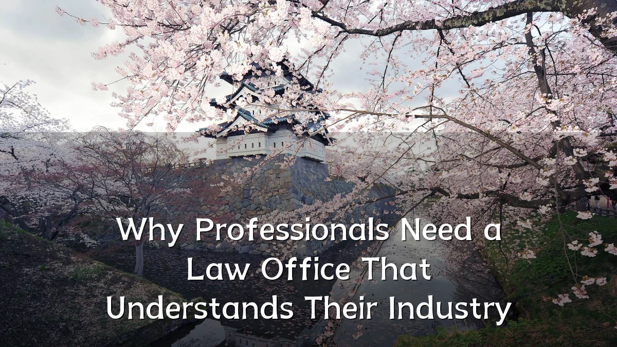Why Professionals Need a Law Office That Understands Their Industry
