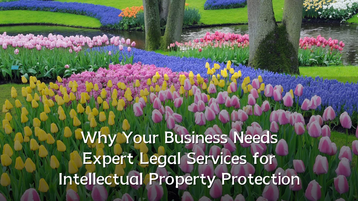Why Your Business Needs Expert Legal Services for Intellectual Property Protection