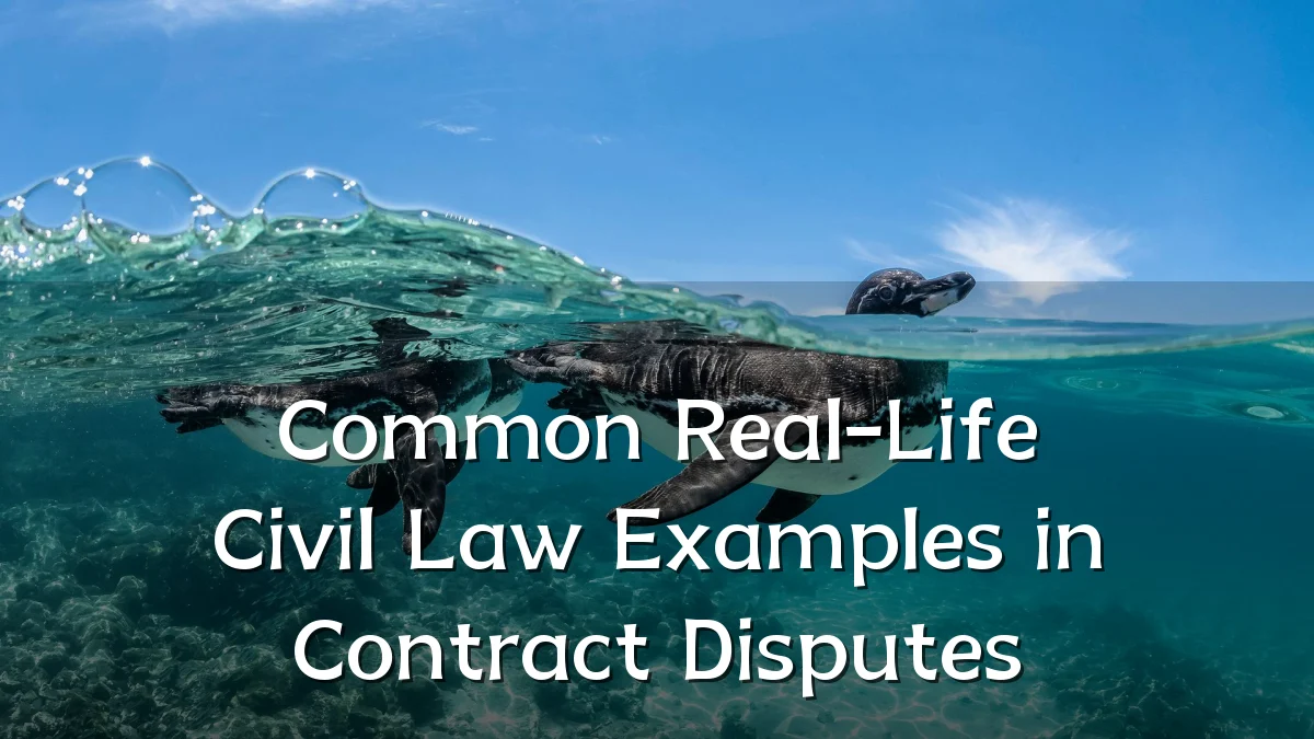 Common Real-Life Civil Law Examples in Contract Disputes
