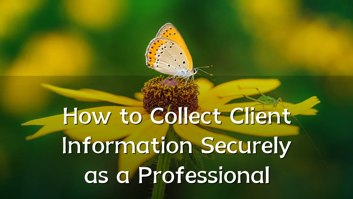 How to Collect Client Information Securely as a Professional