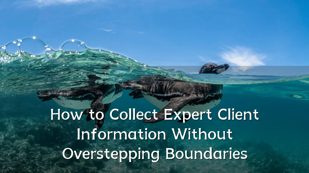How to Collect Expert Client Information Without Overstepping Boundaries