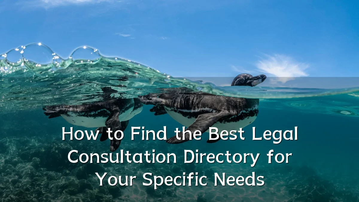 How to Find the Best Legal Consultation Directory for Your Specific Needs