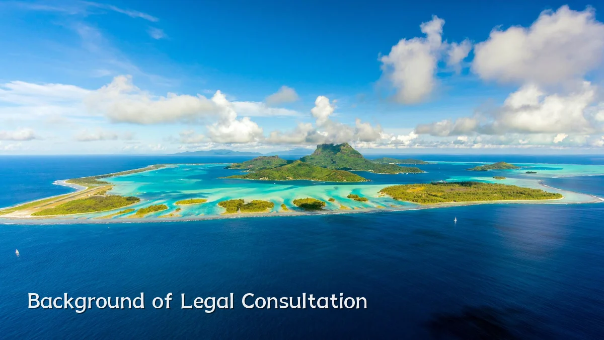 Background of Legal Consultation