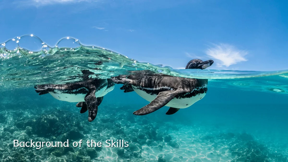 Background of the Skills