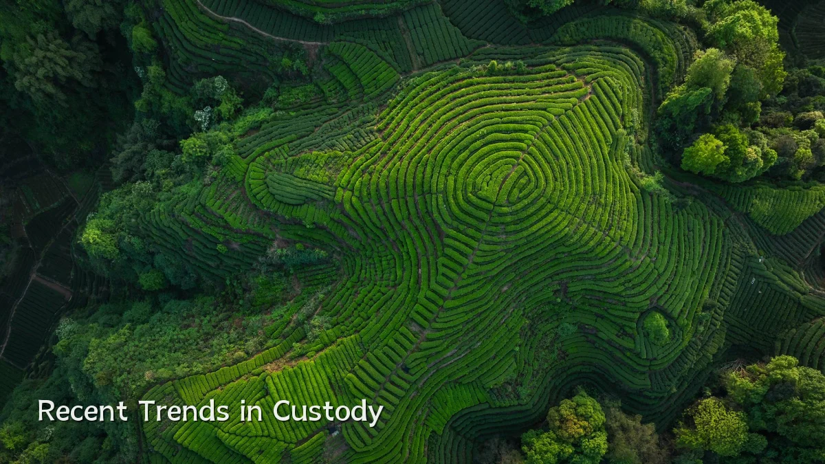 Recent Trends in Custody