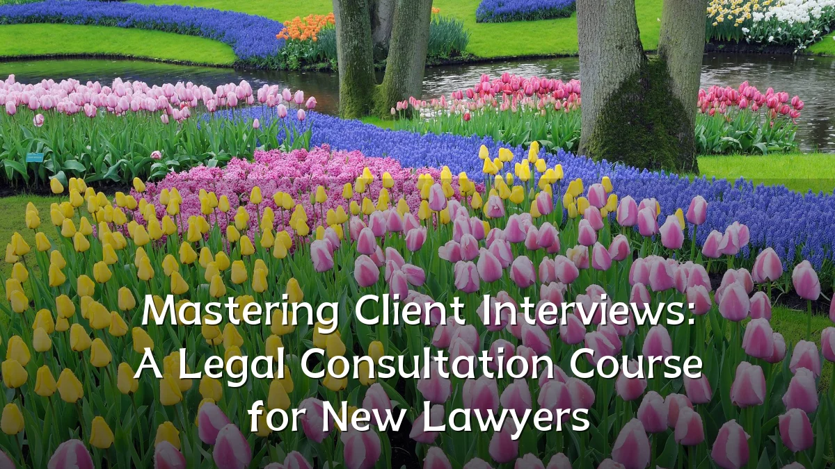 Mastering Client Interviews: A Legal Consultation Course for New Lawyers