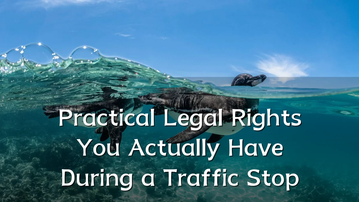 Practical Legal Rights You Actually Have During a Traffic Stop