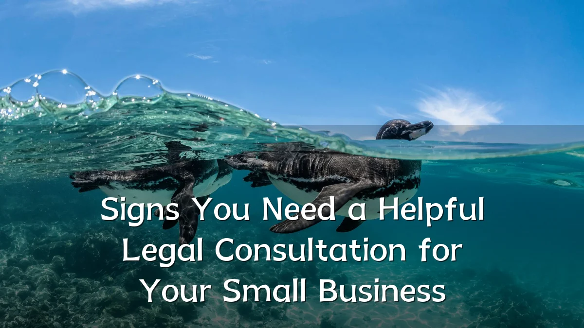 Signs You Need a Helpful Legal Consultation for Your Small Business