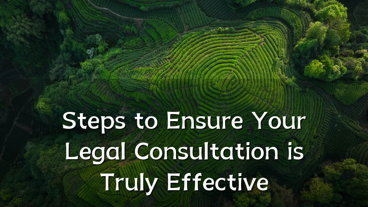 Steps to Ensure Your Legal Consultation is Truly Effective