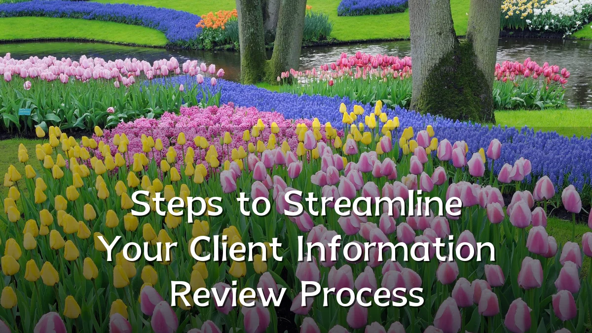 Steps to Streamline Your Client Information Review Process