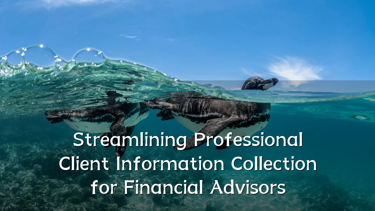 Streamlining Professional Client Information Collection for Financial Advisors