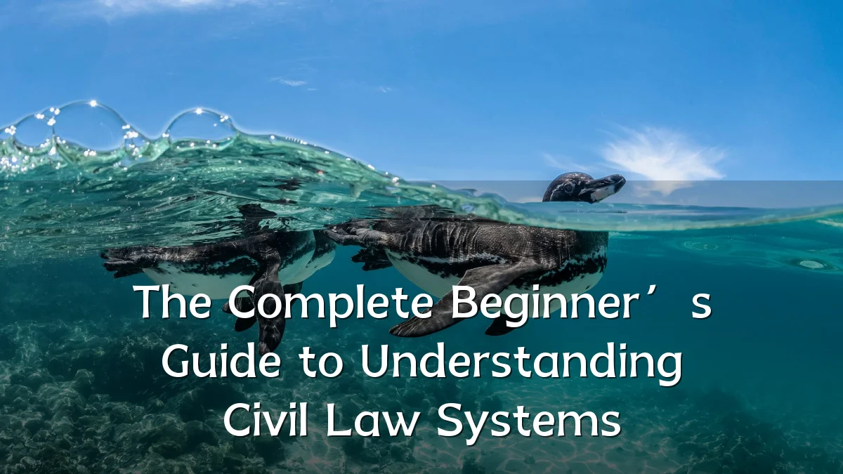 The Complete Beginner’s Guide to Understanding Civil Law Systems