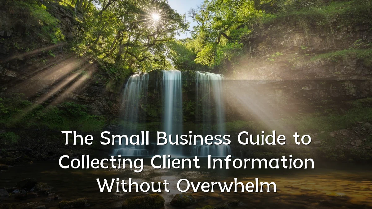 The Small Business Guide to Collecting Client Information Without Overwhelm