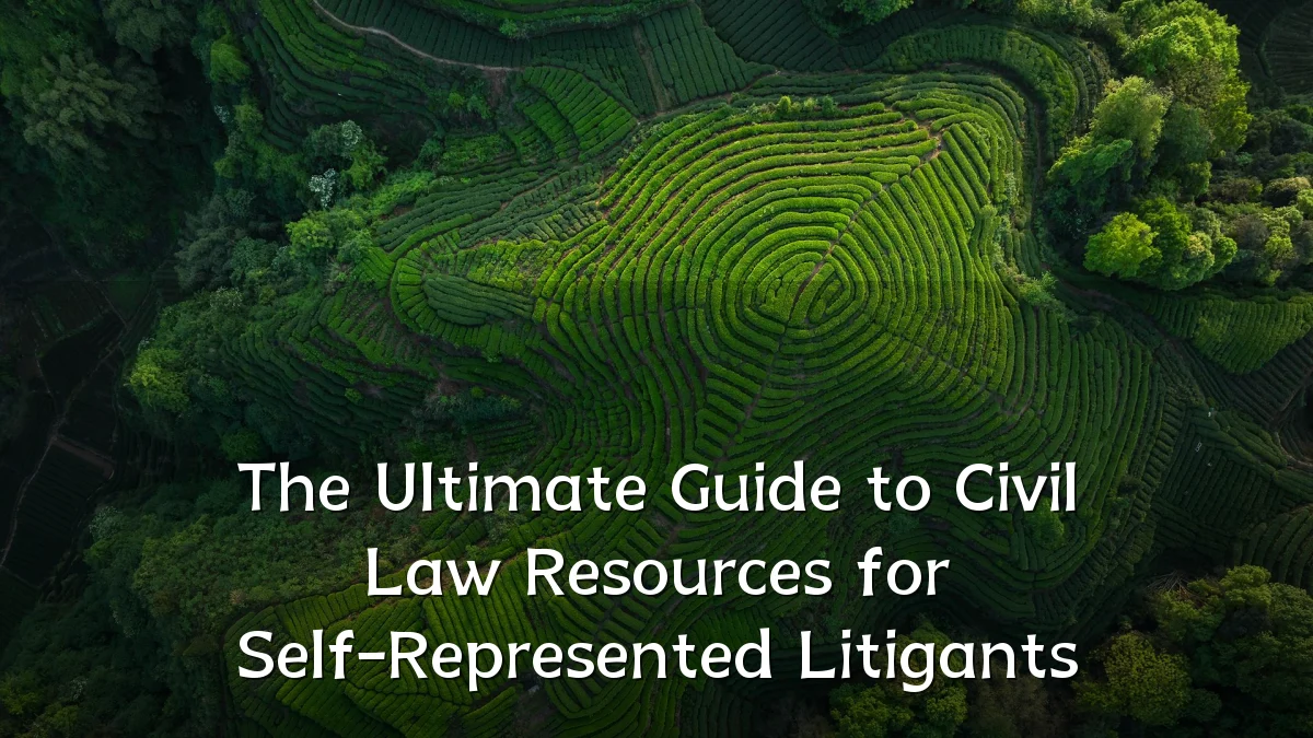 The Ultimate Guide to Civil Law Resources for Self-Represented Litigants