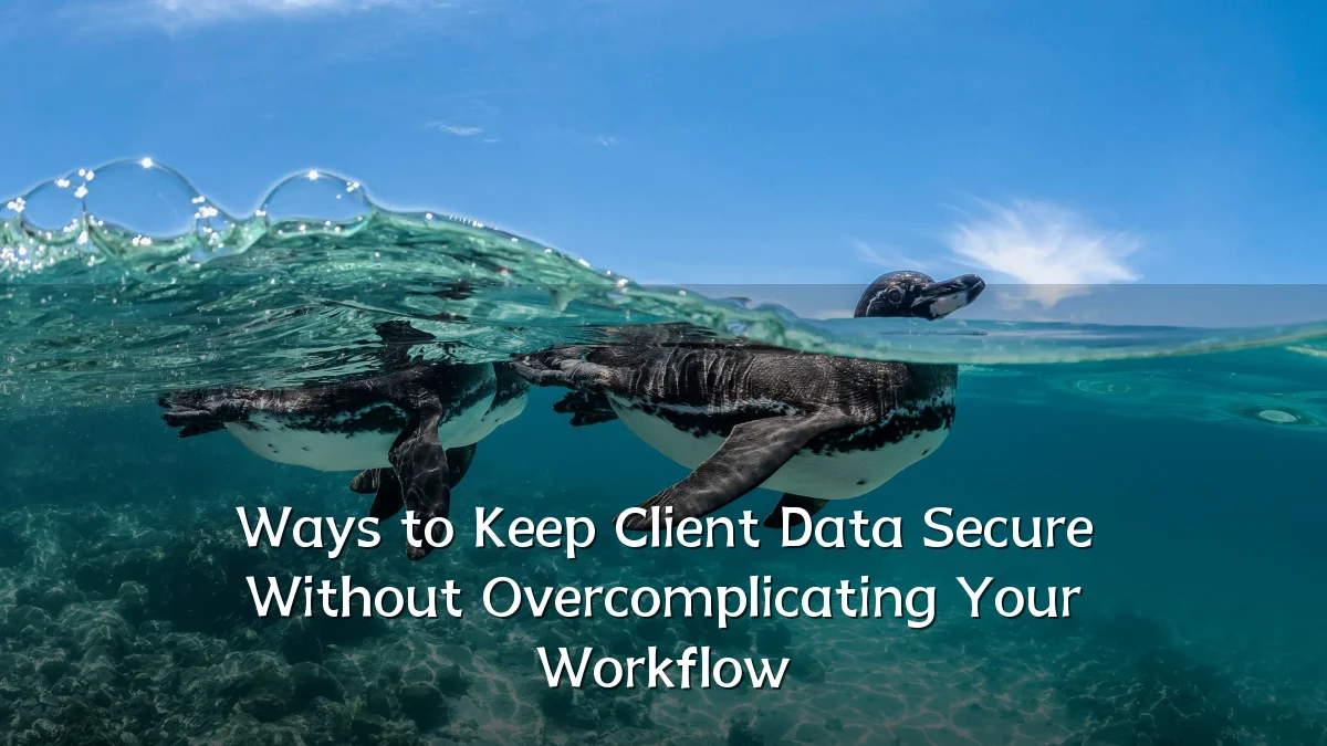 Ways to Keep Client Data Secure Without Overcomplicating Your Workflow