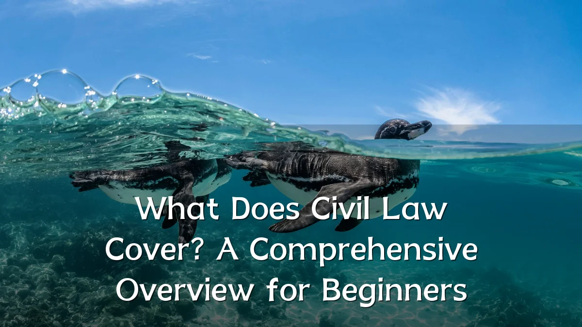 What Does Civil Law Cover? A Comprehensive Overview for Beginners