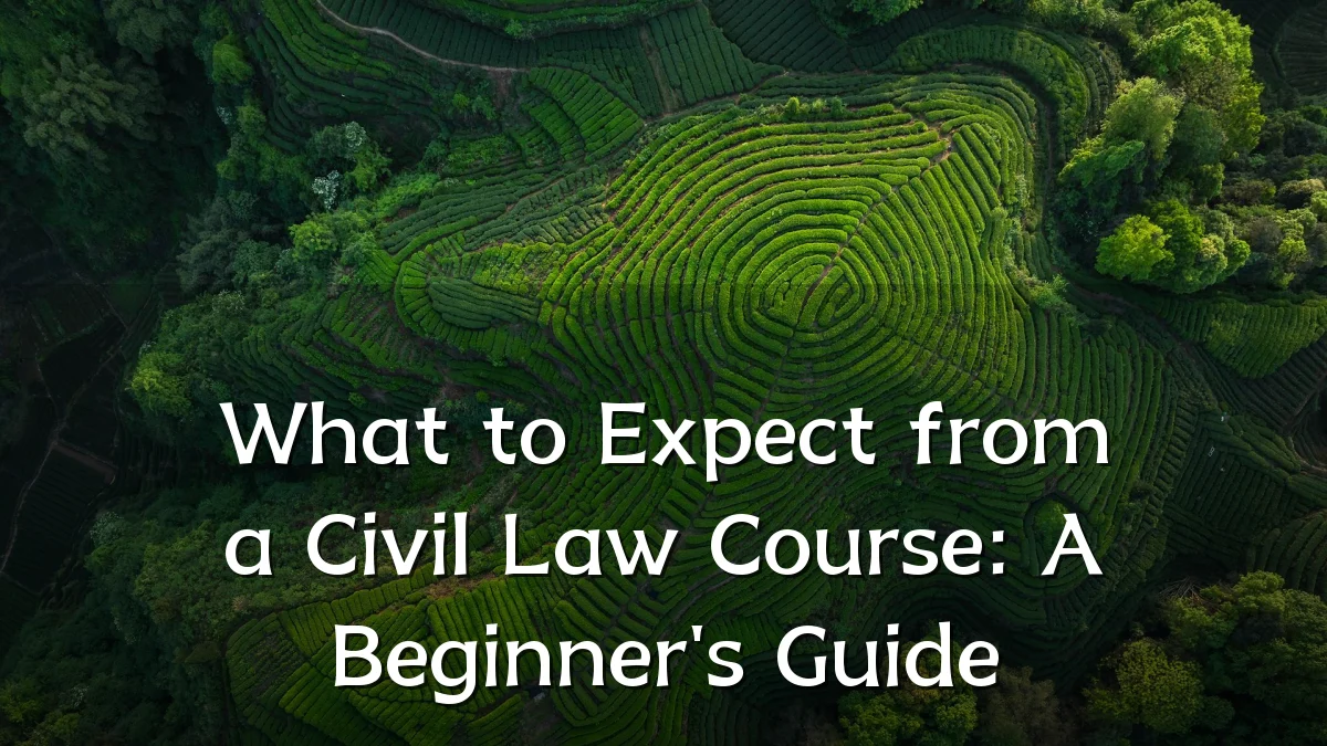 What to Expect from a Civil Law Course: A Beginner's Guide