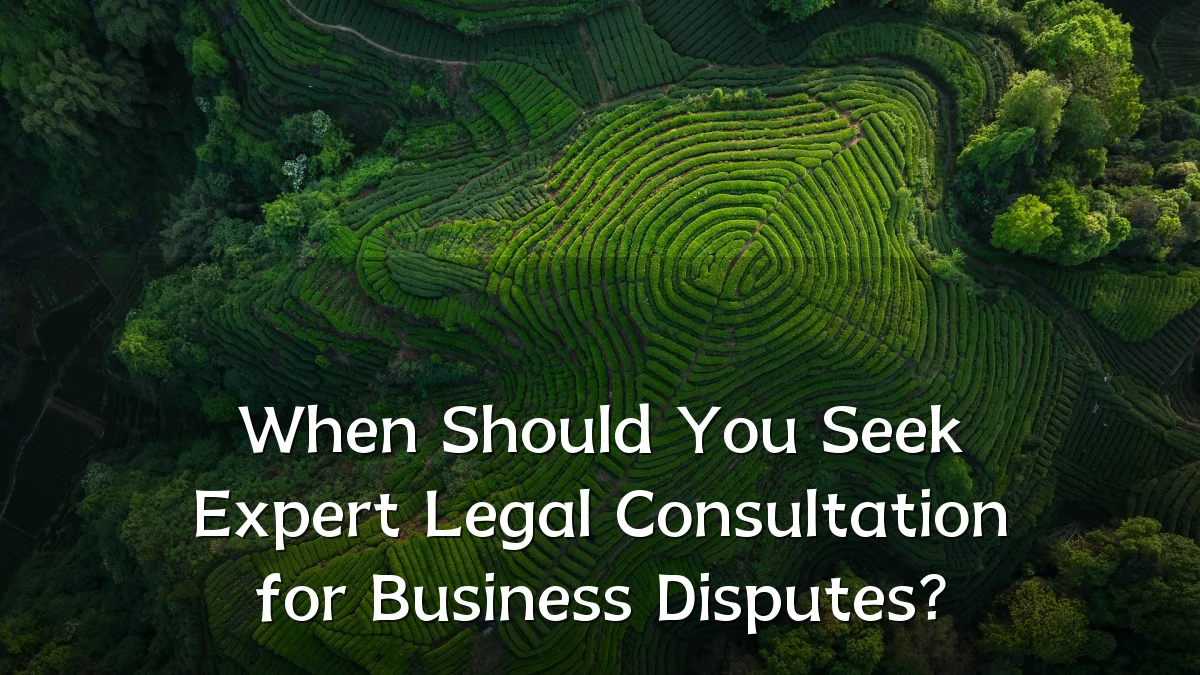 When Should You Seek Expert Legal Consultation for Business Disputes?