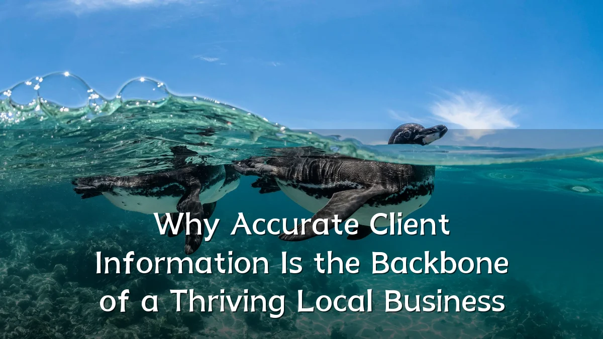 Why Accurate Client Information Is the Backbone of a Thriving Local Business